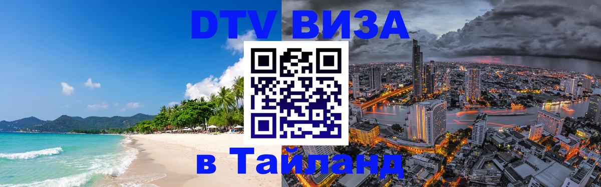 Сколько стоит DTV виза — актуальные цены, оформление даже без документов - 19.11.2025 